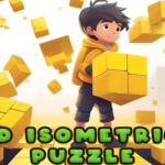 3d Puzzle
