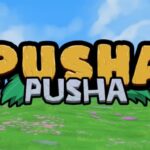 Pusha Pusha